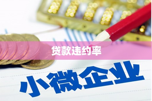 江安贷款违约率