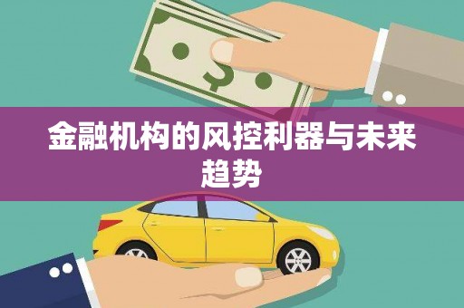 江安金融机构的风控利器与未来趋势