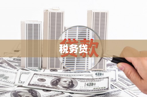 江安税务贷