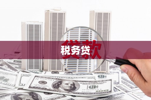 江安税务贷