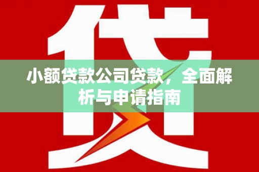 江安小额贷款公司贷款，全面解析与申请指南