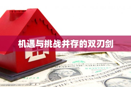 江安机遇与挑战并存的双刃剑