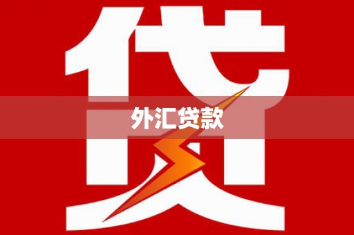 江安外汇贷款