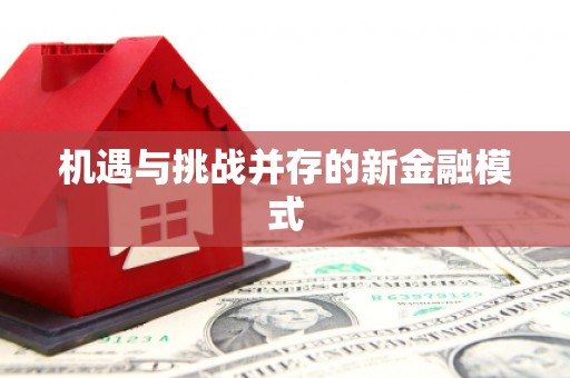 江安机遇与挑战并存的新金融模式