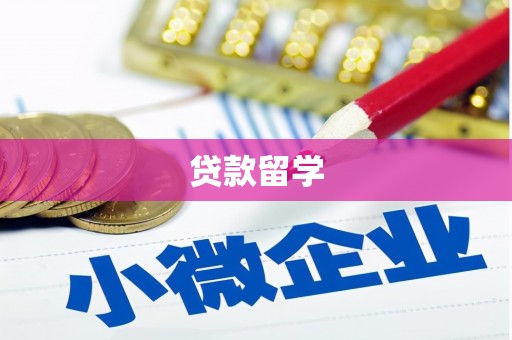 江安贷款留学