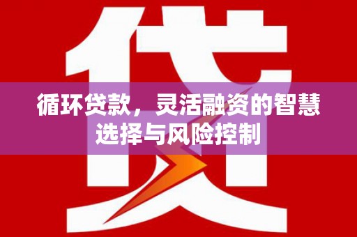江安循环贷款，灵活融资的智慧选择与风险控制