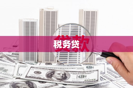 江安税务贷