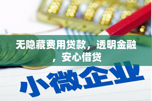 江安无隐藏费用贷款，透明金融，安心借贷