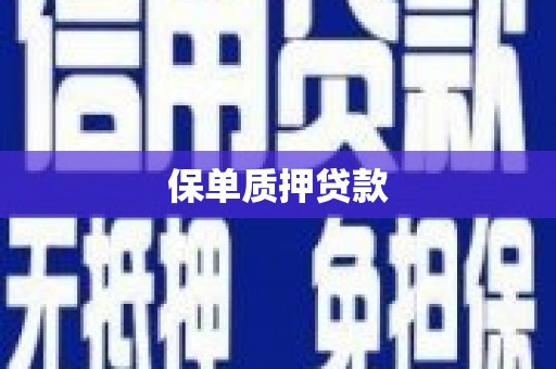 江安保单质押贷款