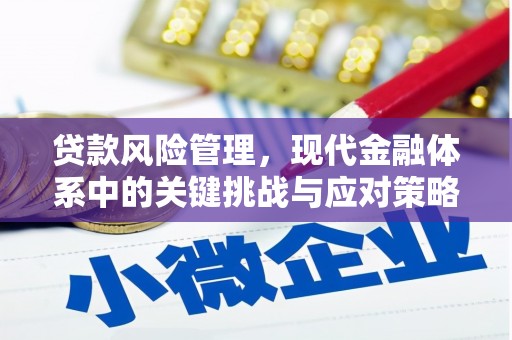 江安贷款风险管理，现代金融体系中的关键挑战与应对策略