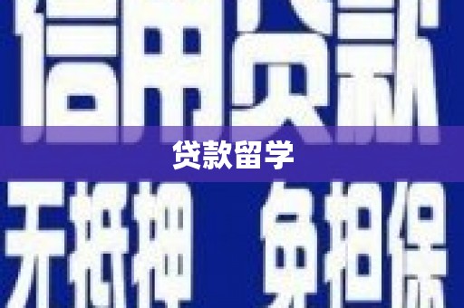 江安贷款留学