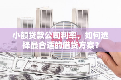 江安小额贷款公司利率，如何选择最合适的借贷方案？