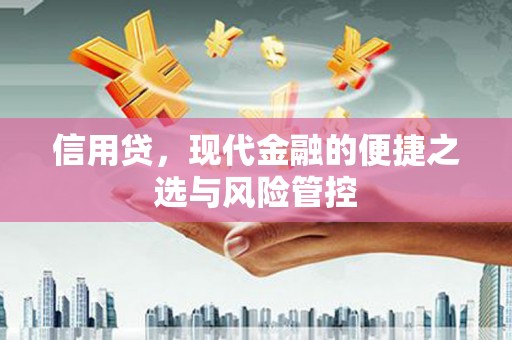 江安信用贷，现代金融的便捷之选与风险管控