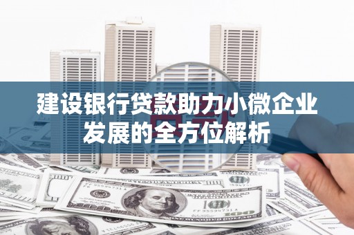 江安建设银行贷款助力小微企业发展的全方位解析