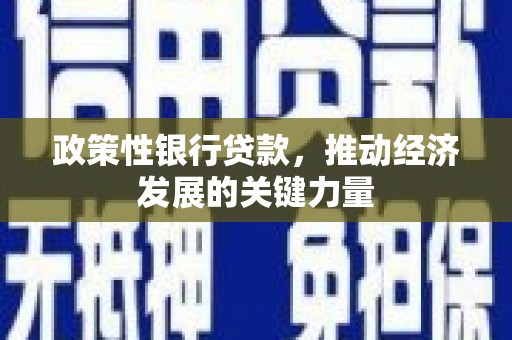 江安政策性银行贷款，推动经济发展的关键力量