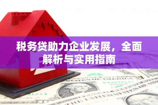 江安税务贷助力企业发展，全面解析与实用指南