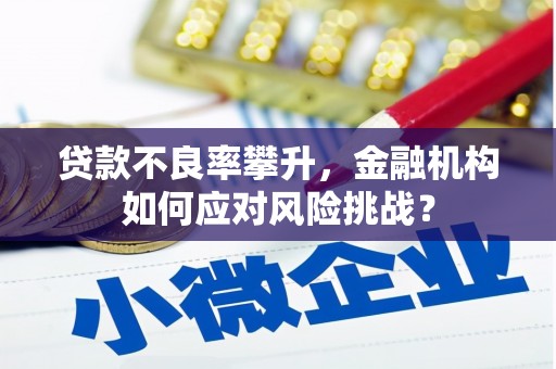 江安贷款不良率攀升，金融机构如何应对风险挑战？