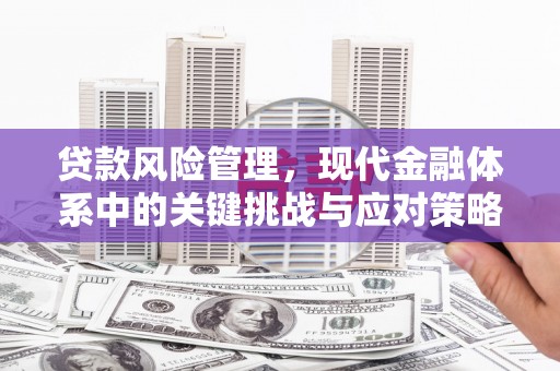 江安贷款风险管理，现代金融体系中的关键挑战与应对策略