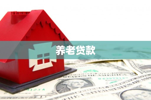 江安养老贷款