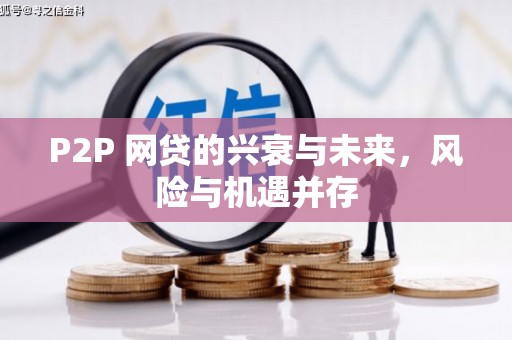 江安P2P 网贷的兴衰与未来，风险与机遇并存