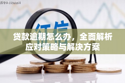 江安贷款逾期怎么办，全面解析应对策略与解决方案