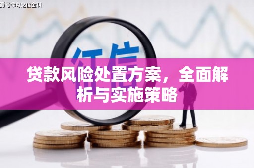 江安贷款风险处置方案，全面解析与实施策略